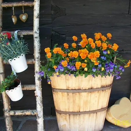 Schmidhof Apartmán *